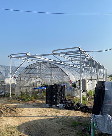 Commercial Solar Greenhouse