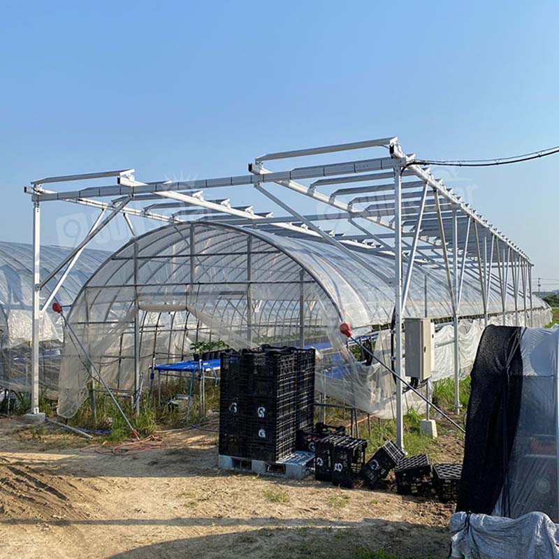 Passive Solar Greenhouse